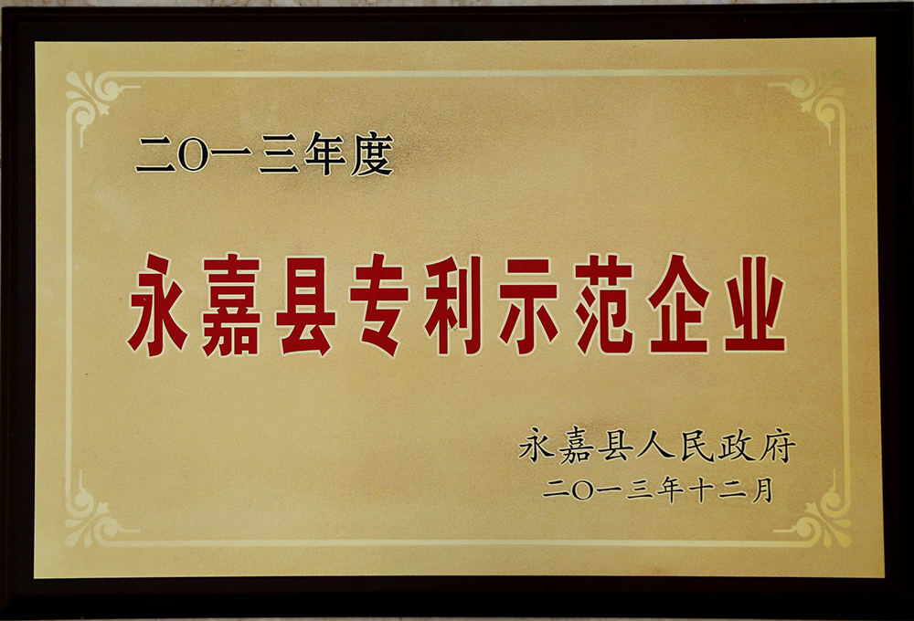 专利示范企业